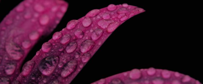 Stopping – the magic of the moment